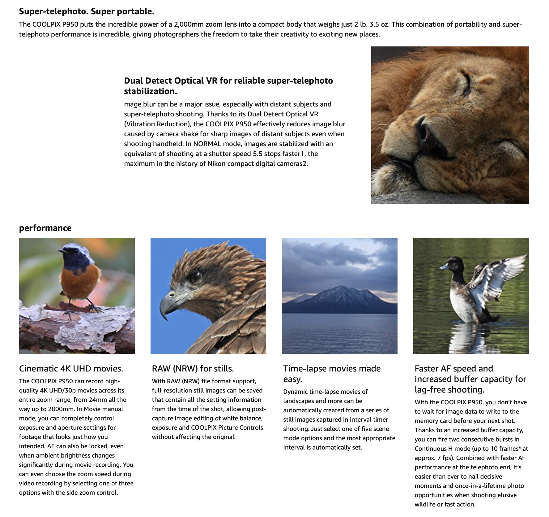 Bird Photography Nikon P950 Review Nikon Coolpix P950 Digital Camera