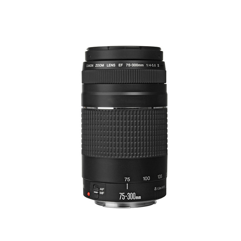 Buy Canon Ef 75 300mm F 4 5 6 Iii Lens Online In Pakistan Telemart Pk